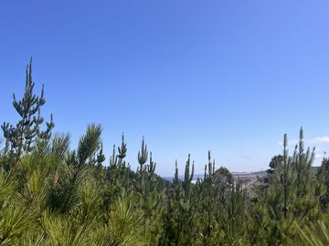 Terreno Hacienda Boyeruca