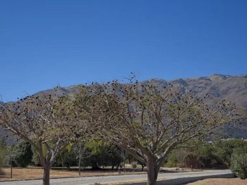Terreno en  CUIDAD DE SAN LUIS