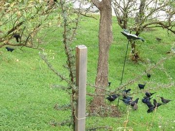 Terreno en  CUIDAD DE SAN LUIS
