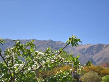 Terreno en  CUIDAD DE SAN LUIS