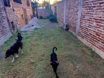 Casa a 2 cuadras de Avenida Calchaqui