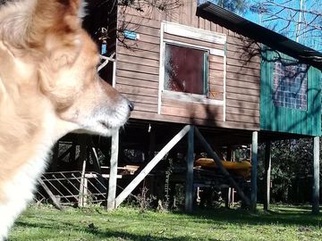 Casa en venta - 1 Dormitorio 1 Baño - 6.750Mts2 - Delta, Tigre