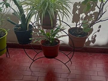 PH en Villa Luro
