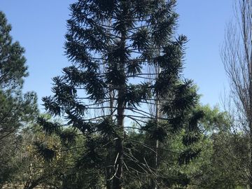 Sensacional Quinta en venta en El Cazador Escobar con 10.000m2 de lote