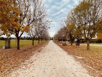 Casa en Venta en Campos de Roca II