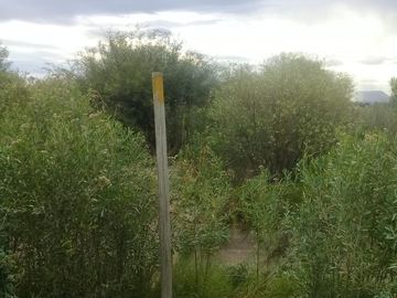 Terreno en  Sarmiento