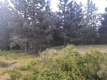 Terreno en Epuyen
