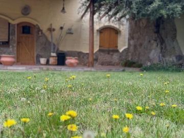 Quinta en  Venta en Villa 25 de Mayo - San Rafael - Mendoza