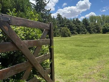 Quinta en  Venta en Villa 25 de Mayo - San Rafael - Mendoza