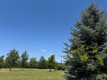 Quinta en  Venta en Villa 25 de Mayo - San Rafael - Mendoza