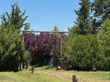 Quinta en  Venta en Villa 25 de Mayo - San Rafael - Mendoza