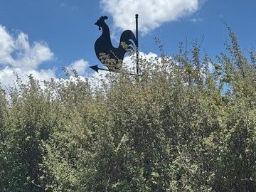 Quinta en  Venta en Villa 25 de Mayo - San Rafael - Mendoza