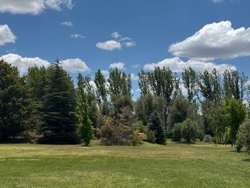 Quinta en  Venta en Villa 25 de Mayo - San Rafael - Mendoza