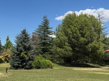 Quinta en  Venta en Villa 25 de Mayo - San Rafael - Mendoza