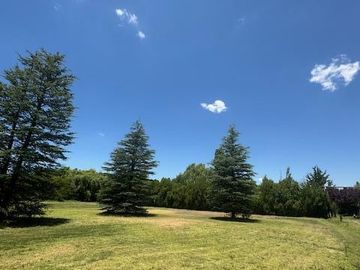 Quinta en  Venta en Villa 25 de Mayo - San Rafael - Mendoza