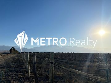 Venta de Finca en Valle de Uco, San Carlos, La Consulta. 10 Hectareas