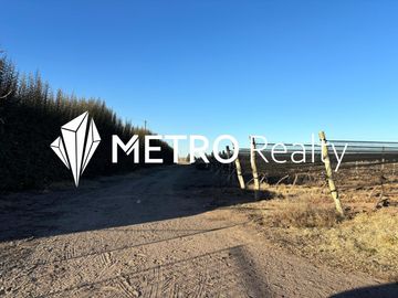 Venta de Finca en Valle de Uco, San Carlos, La Consulta. 10 Hectareas