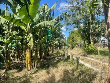 Se Vende Hermosa Finca Turística En Montenegro Quindio