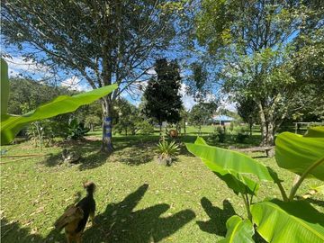 Se Vende Hermosa Finca Turística En Montenegro Quindio
