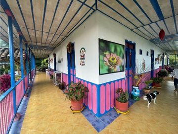 Se Vende Hermosa Finca Turística En Montenegro Quindio