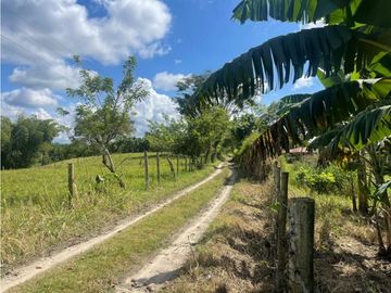 Se Vende Hermosa Finca Turística En Montenegro Quindio
