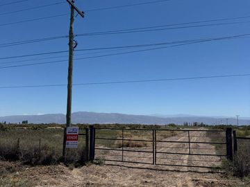 Finca en  9 de Julio