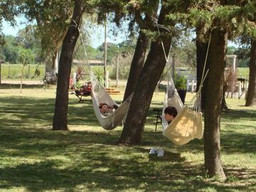 Retasado Venta de campo, fondo de comercio,  6has. en Gral. Rodriguez, pcia. de Buenos Aires