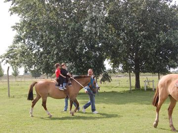 Retasado Venta de campo, fondo de comercio,  6has. en Gral. Rodriguez, pcia. de Buenos Aires