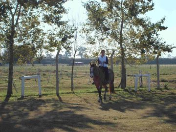 Retasado Venta de campo, fondo de comercio,  6has. en Gral. Rodriguez, pcia. de Buenos Aires