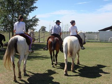 Retasado Venta de campo, fondo de comercio,  6has. en Gral. Rodriguez, pcia. de Buenos Aires