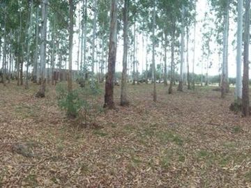 Terreno en venta Club de Campo La Aldea Colon