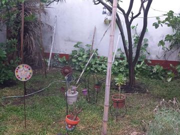 CASA EN  FLORESTA