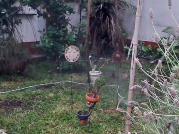 CASA EN  FLORESTA