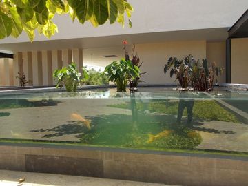 Casa en venta Mérida Yucatán, Privada NorteMérida Komchen