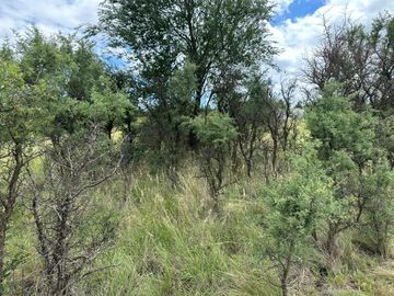 TERRENO EN VENTA EN CHACRAS DE LA JOSEFINA  VILLA GIARDINO