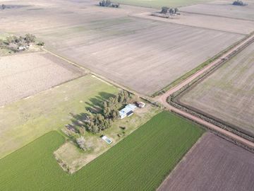 Chacra de 7 hectáreas con mejoras