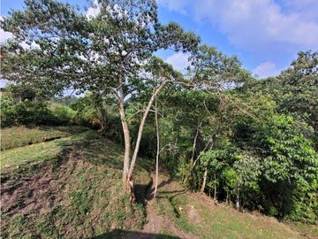 CASA CAMPESTRE EN CONJUNTO CERRADO EN CIRCASIA