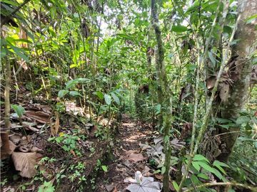 CASA CAMPESTRE EN CONJUNTO CERRADO EN CIRCASIA