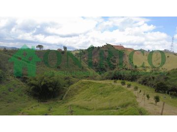 FINCA EN VENTA EN MARINILLA