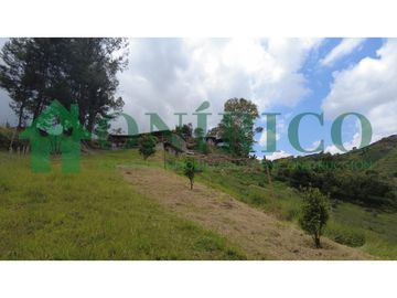 FINCA EN VENTA EN MARINILLA