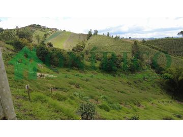 FINCA EN VENTA EN MARINILLA