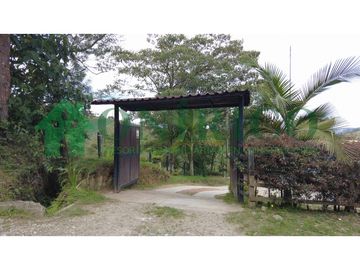 FINCA EN VENTA EN MARINILLA