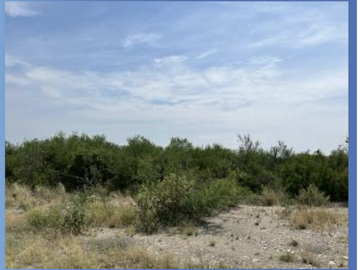 Terreno en venta en Pesquería.