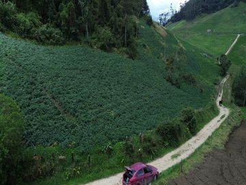 🌄 ¡Extraordinaria Finca En Sibaté! | 8 Fanegadas Con Vista Panorámica | A 1 Km Del Peaje