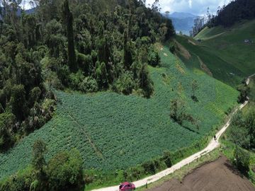 🌄 ¡Extraordinaria Finca En Sibaté! | 8 Fanegadas Con Vista Panorámica | A 1 Km Del Peaje