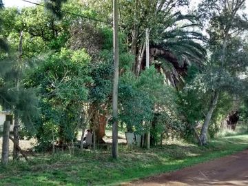Venta de excelente quinta con frondosa arboleda