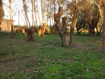 Venta de excelente quinta con frondosa arboleda