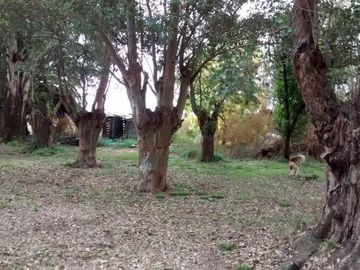 Venta de excelente quinta con frondosa arboleda