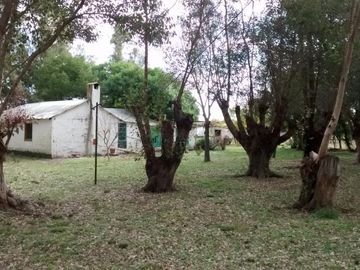 Venta de excelente quinta con frondosa arboleda