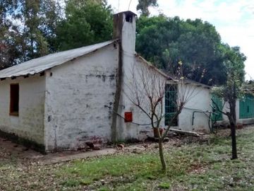 Venta de excelente quinta con frondosa arboleda